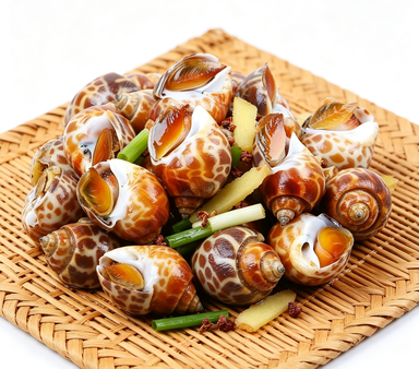 Fresh Whelk Shellfish